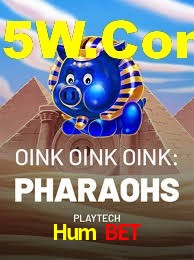 Basketball Betting Hum Bet