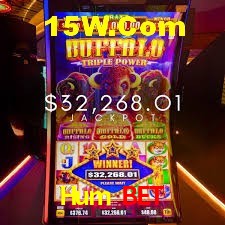 Bonus Features Hum Bet