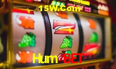 Hum Bet Curitiba - Statistics