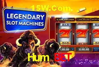 Hum Bet Brasília - Security