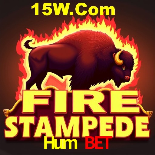 Hum Bet Rio de Janeiro - Bonus Terms