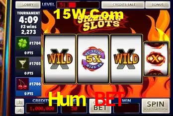 Hum Bet - User Statistics