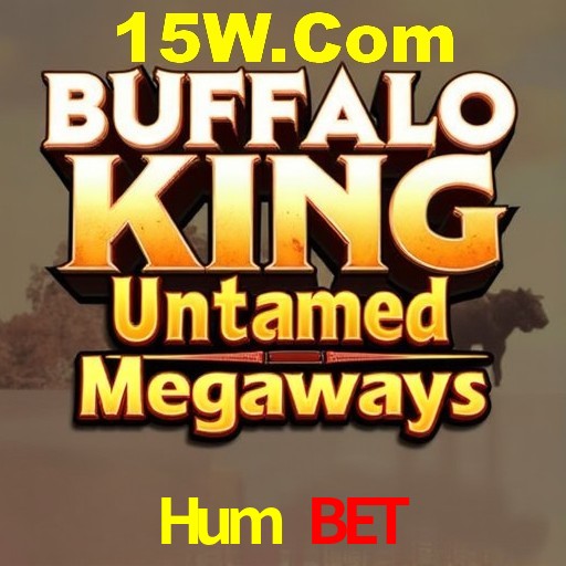 Apostas Esportivas na Hum Bet: Um Guia Completo